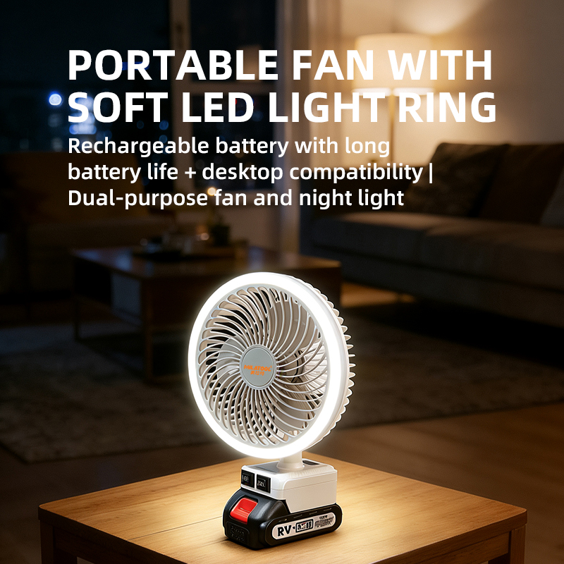 Lithium battery fan - DS-308