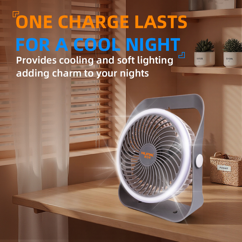 Fan - DS-328