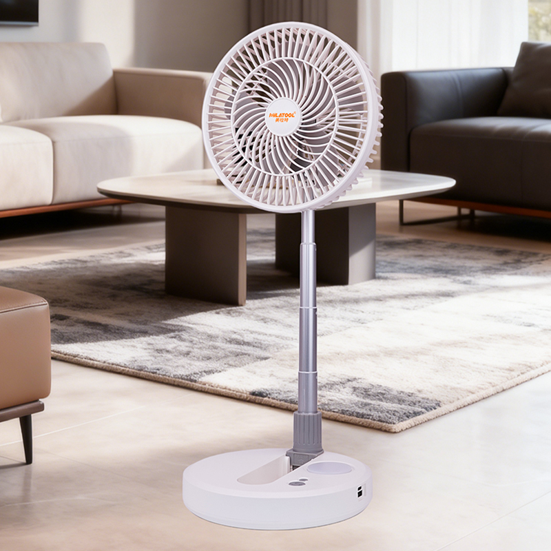 Fan - DS-828