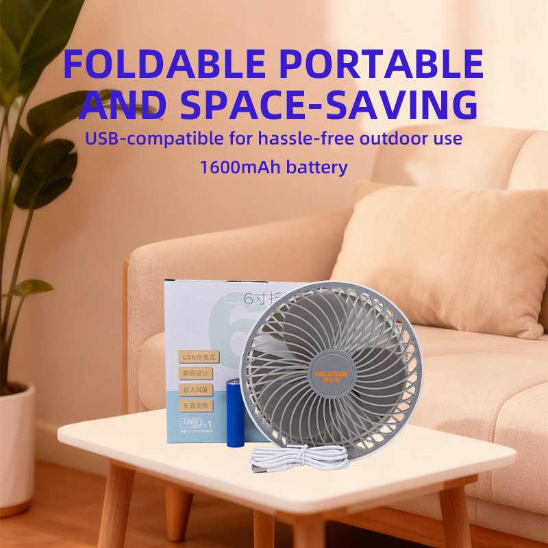 Fan - DS-859