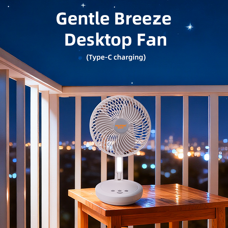 Fan - DS-893A