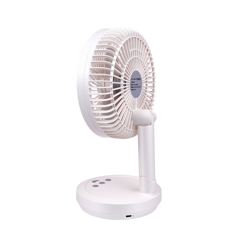 Fan - DS-893A
