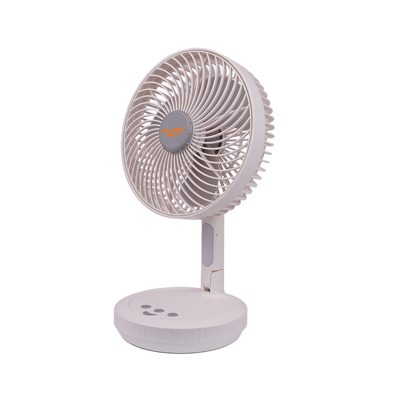 Fan - DS-893A