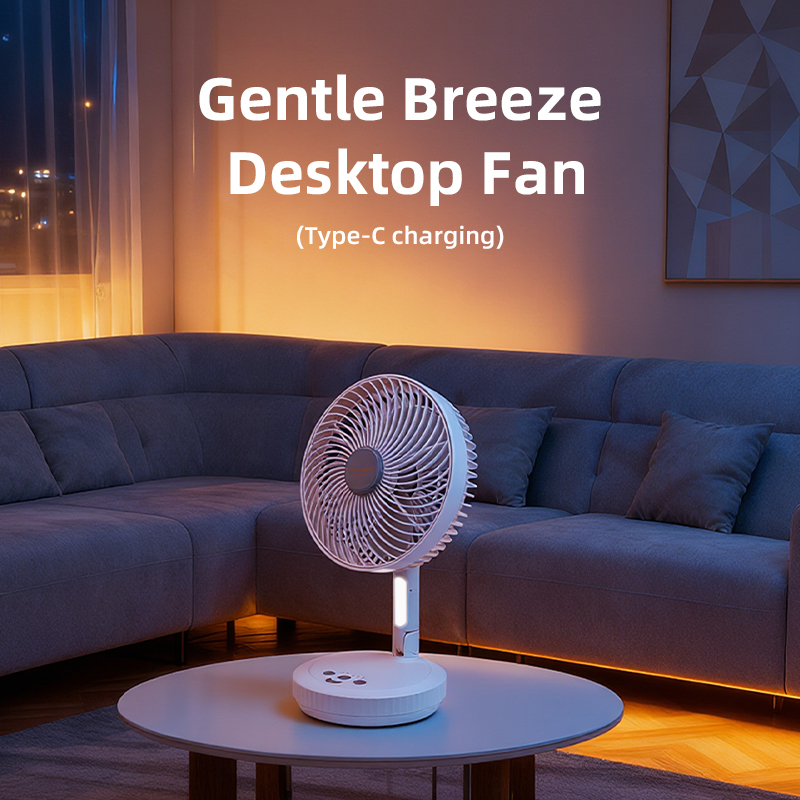 Fan - DS-893A