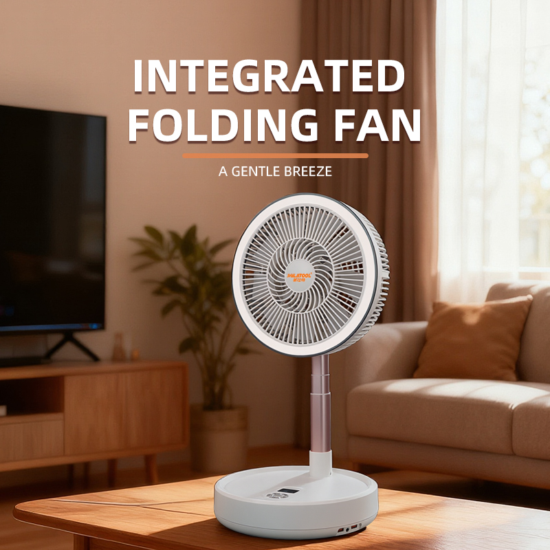 Fan - DS-999