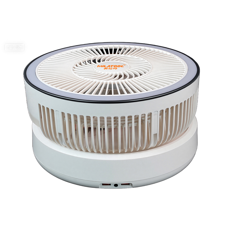 Fan - DS-999
