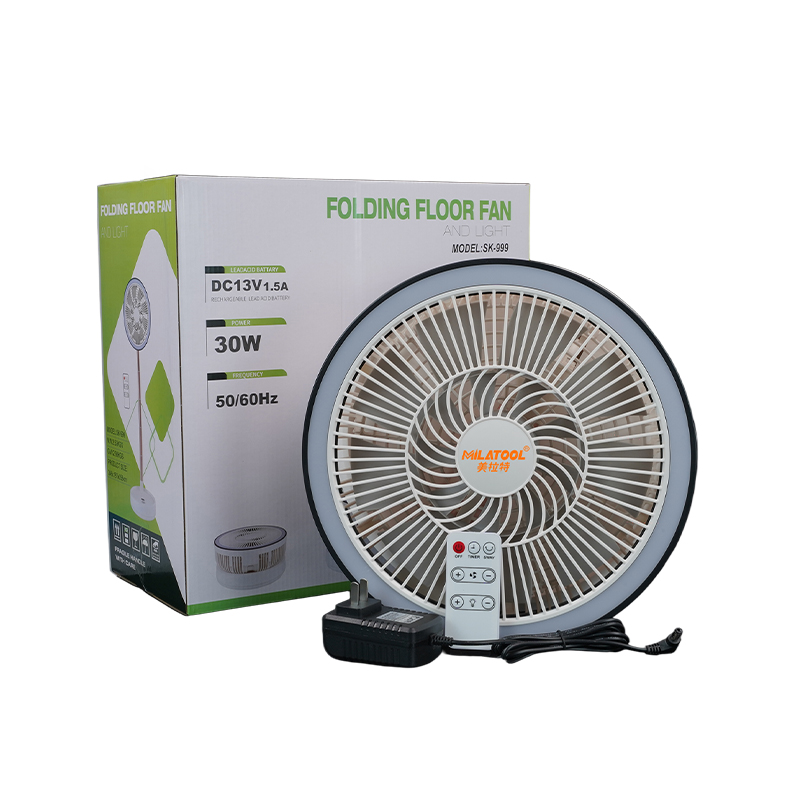 Fan - DS-999