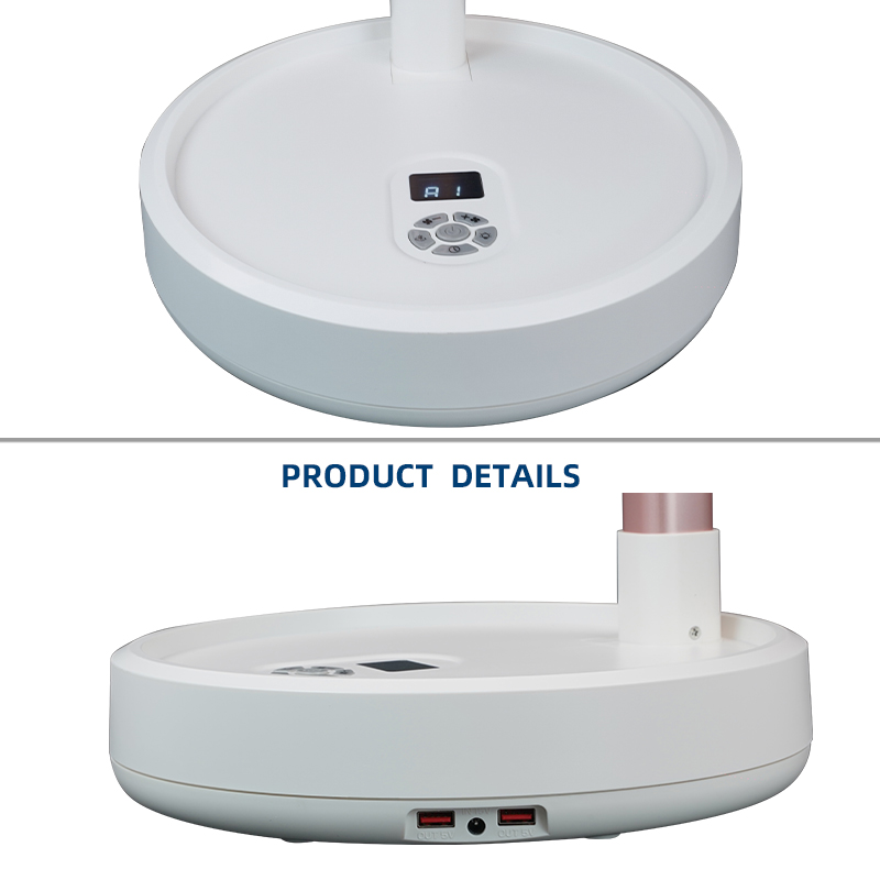 Fan - DS-999