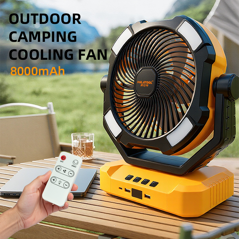 Fan - DS-978