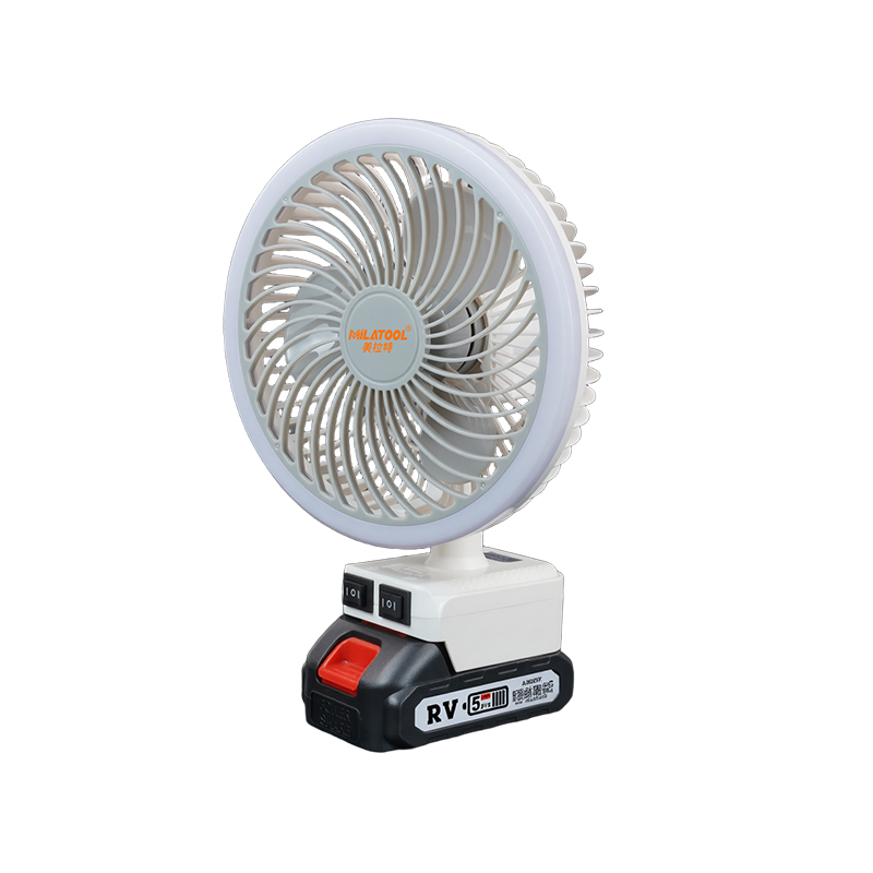 Lithium battery fan - DS-308