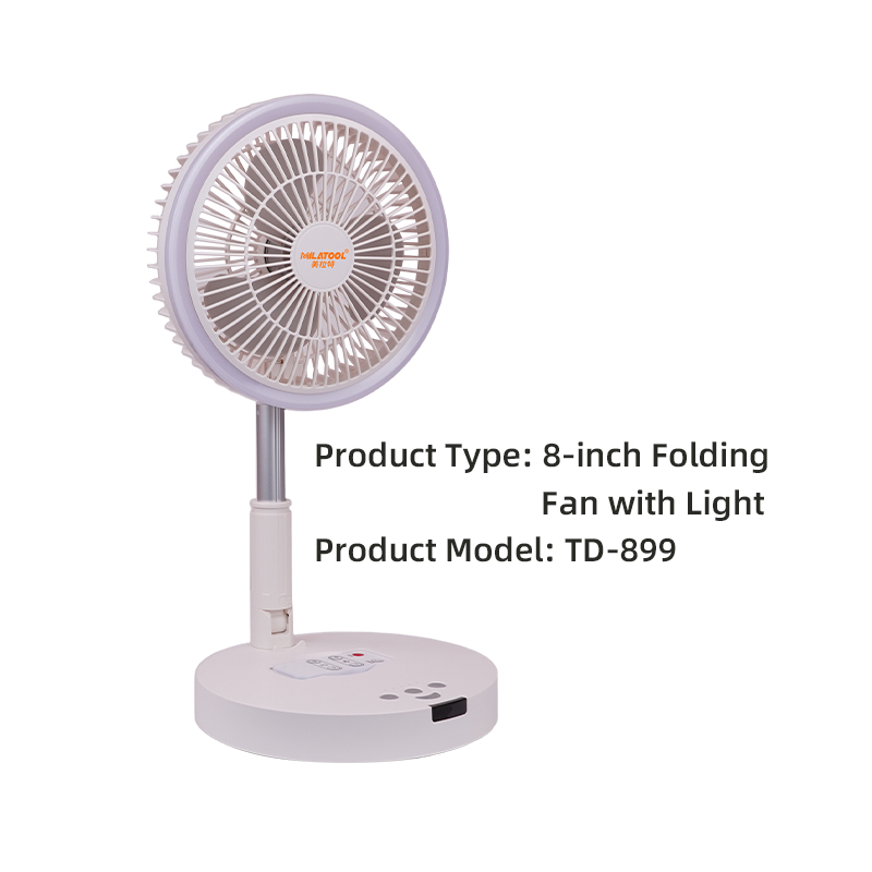 Fan - DS-899